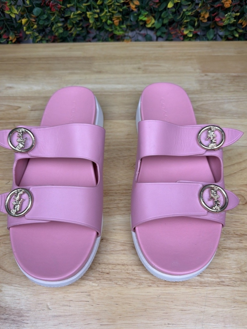Coach Pink Double-Strap Slide Sandals with Gold Hardware - Picture 2 of 11